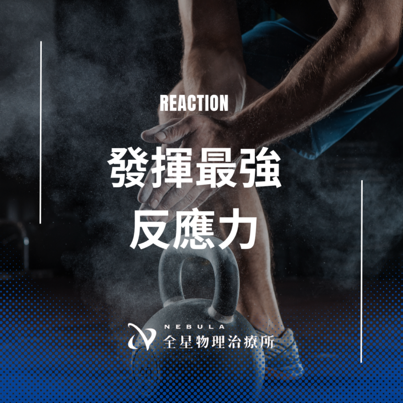 反應力